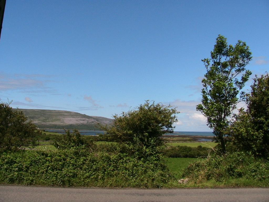 Drumcreehy Country House B&B Ballyvaughan Exterior photo